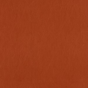 Auburn Lariat Vinyl Leather